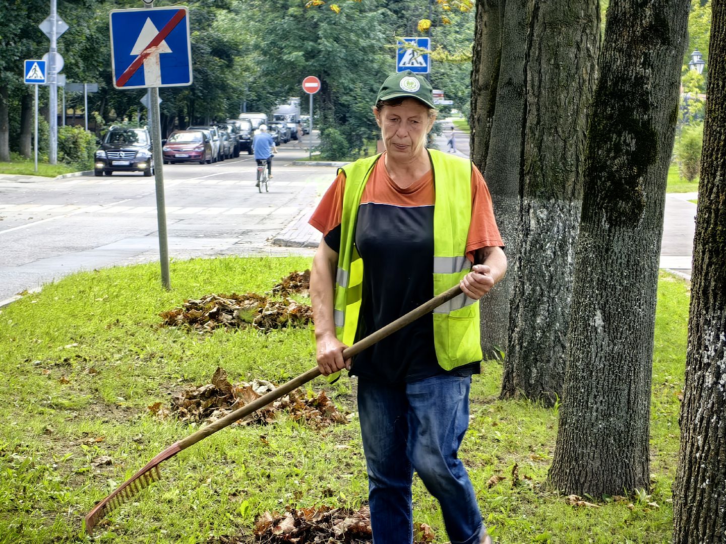 Уборка, газон, трава, улица, листва