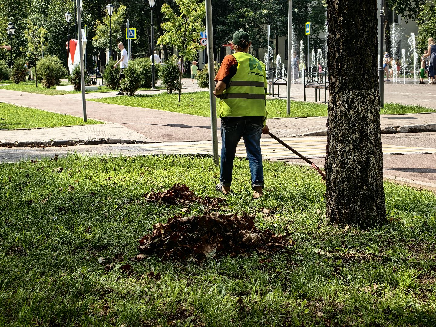 Уборка, газон, трава, улица, листва