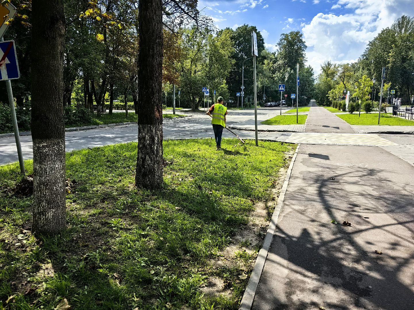 Уборка, газон, трава, улица, листва