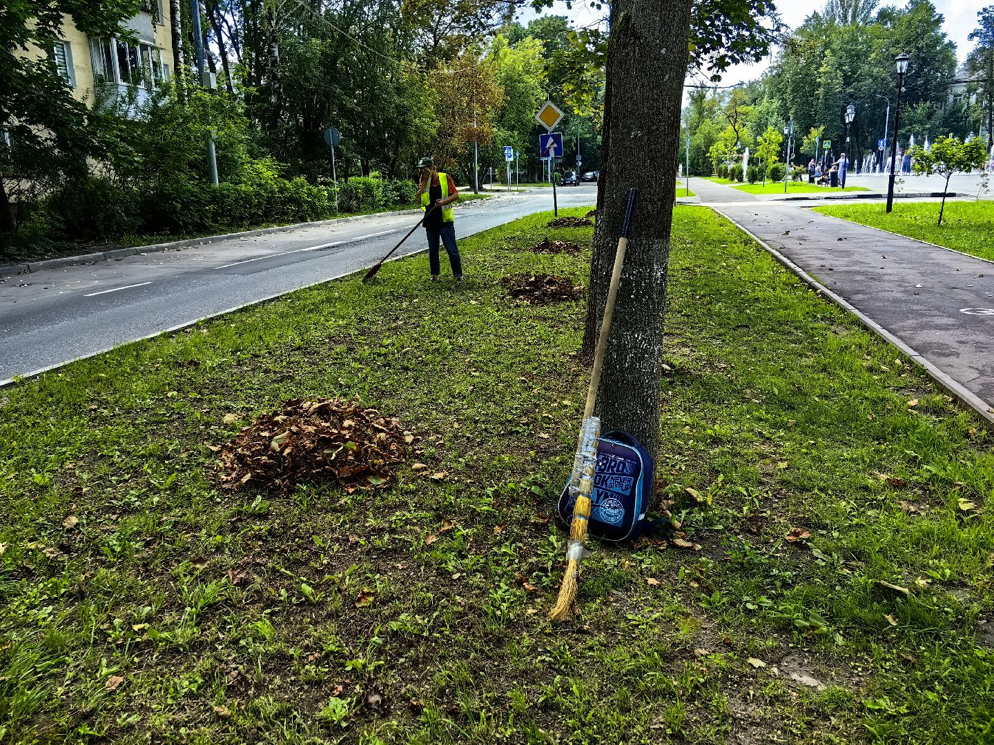 Уборка, газон, трава, улица, листва