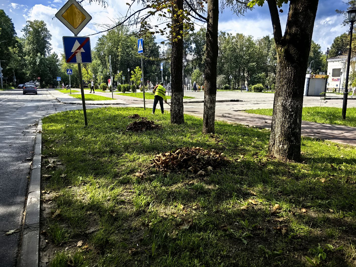 Уборка, газон, трава, улица, листва