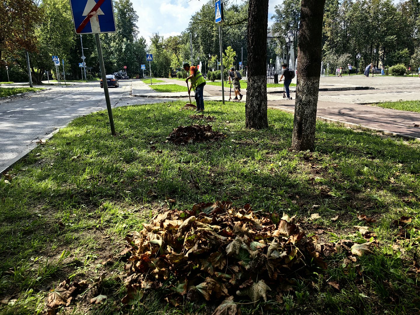 Уборка, газон, трава, улица, листва