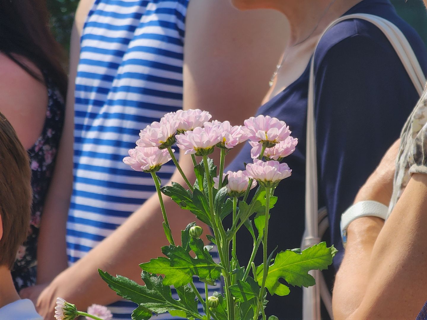 Павловский Посад, городской округ Павловский Посад, люди, музей, цветы, памятник, праздник, космонавт, космос