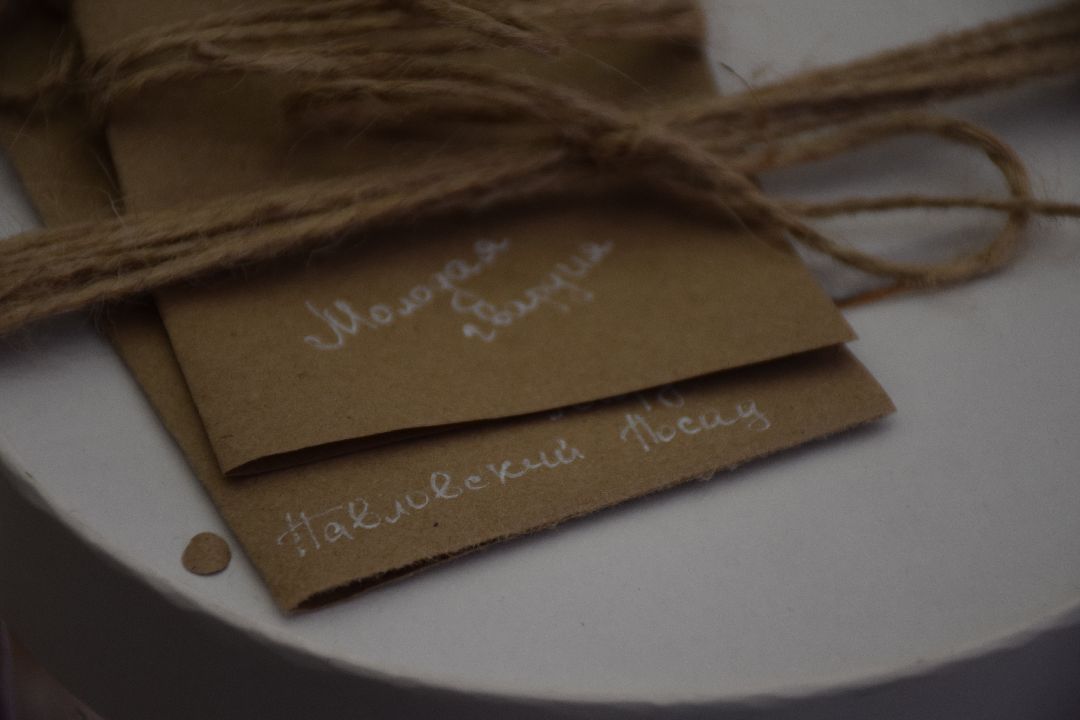 Павловский Посад, Волонтёры, СВО, Молодая Гвардия Единой России