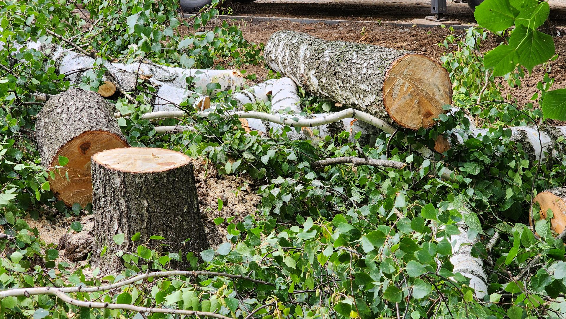 благоустройство, парковки, встречи с жителями,
