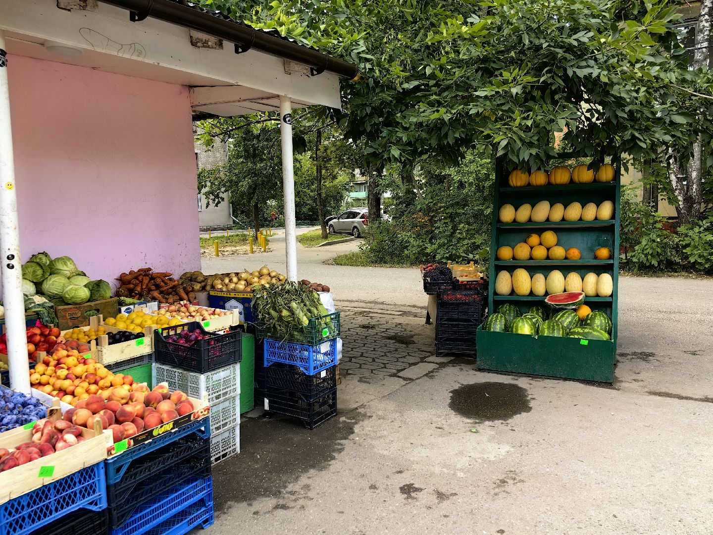 День арбуза, ягода, вода, фруктоза, сезон