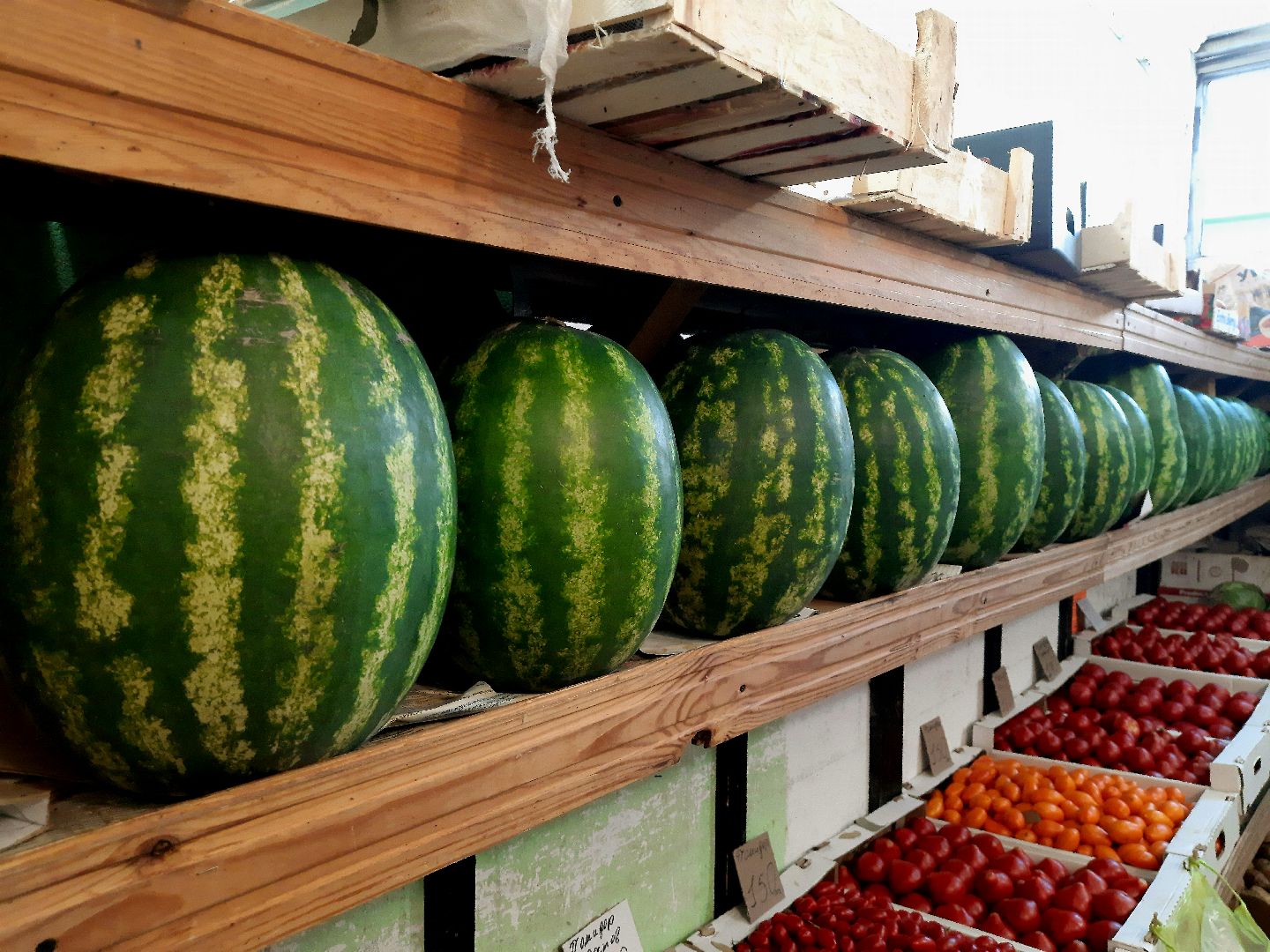День Арбуза, #день_арбуза, городской округ Шатура, Шатура, рынок, арбуз, бахча