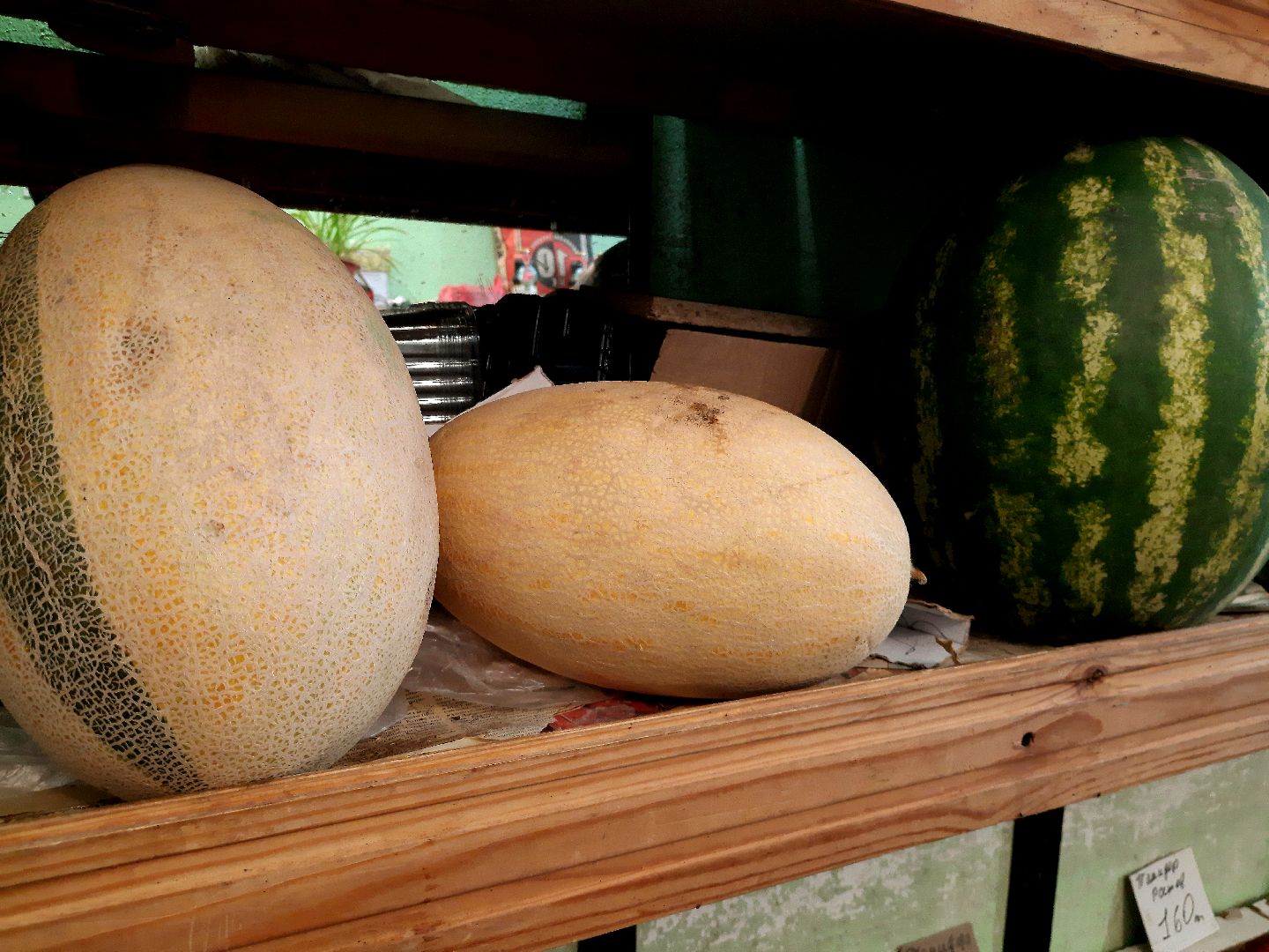 День Арбуза, #день_арбуза, городской округ Шатура, Шатура, рынок, арбуз, бахча