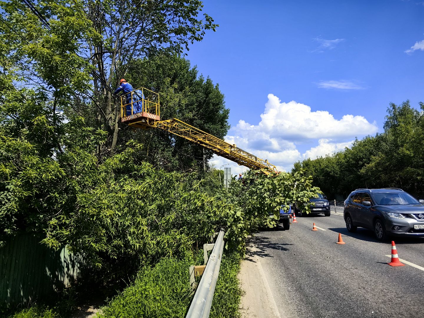 Автовышка, арборист, деревья, спил, дорога