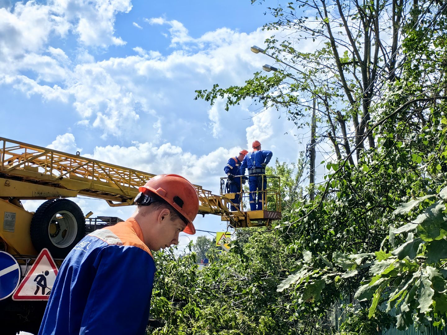 Автовышка, арборист, деревья, спил, дорога