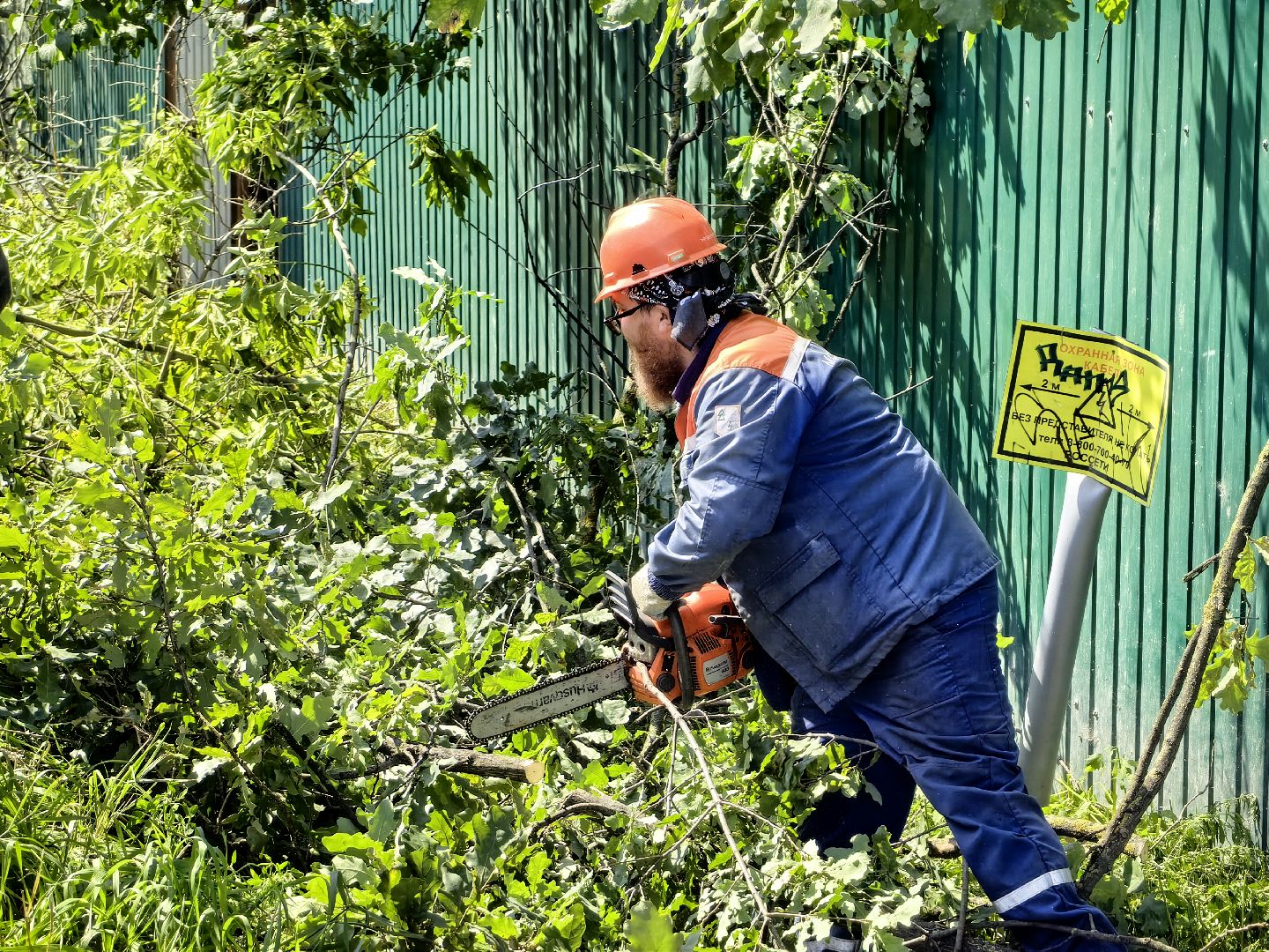 Автовышка, арборист, деревья, спил, дорога