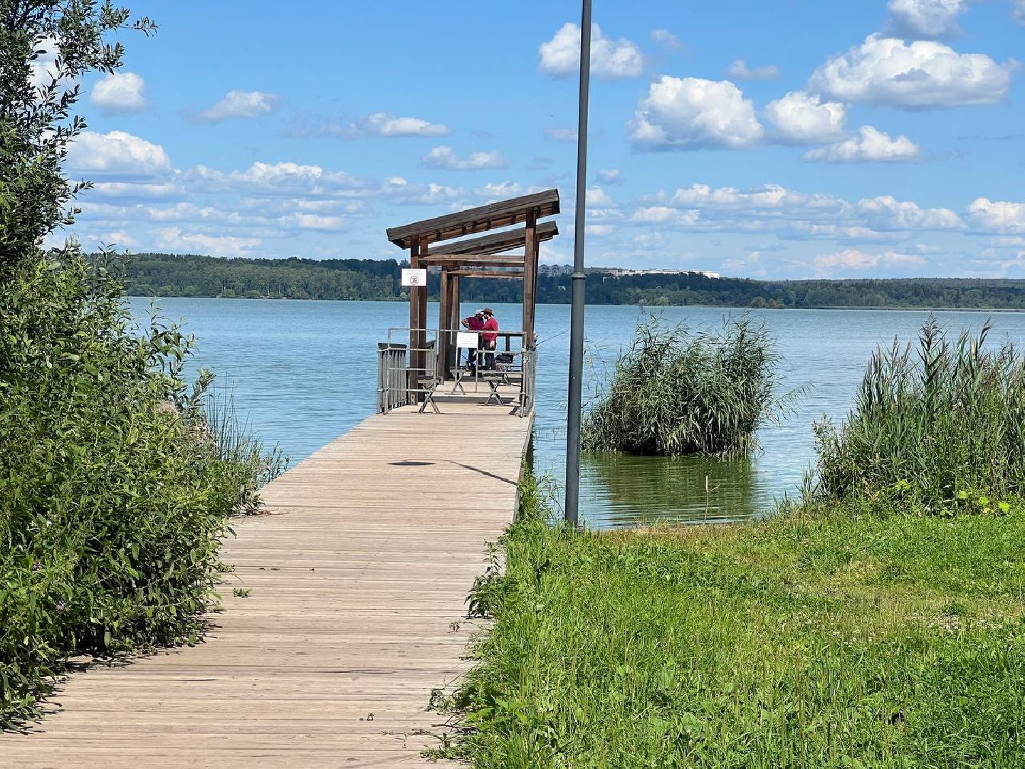Солнечногорск, благоустройство, набережная, парк, жители