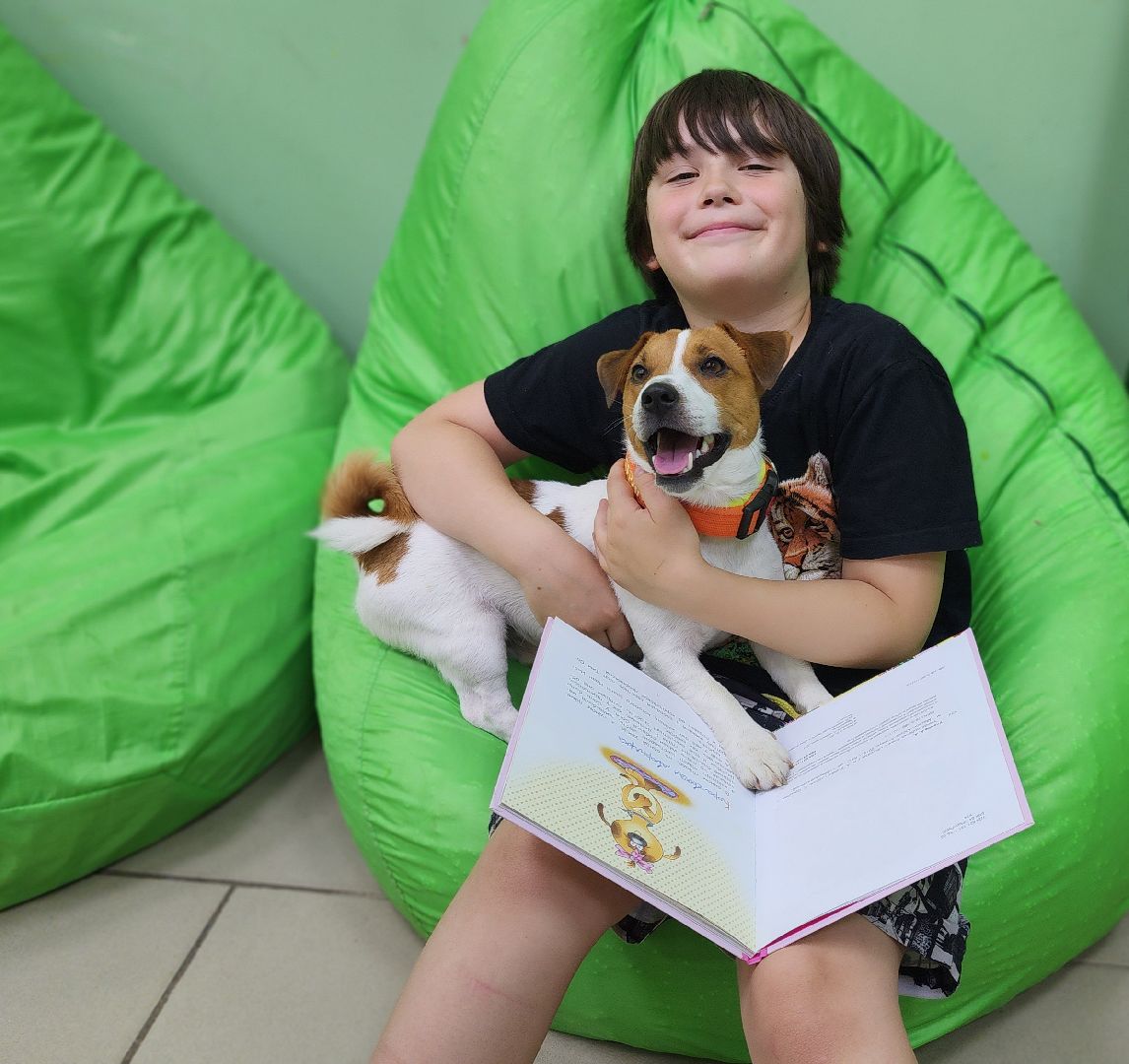 собака-терапевт, чтение, библиотека, Протвино, канистерапия