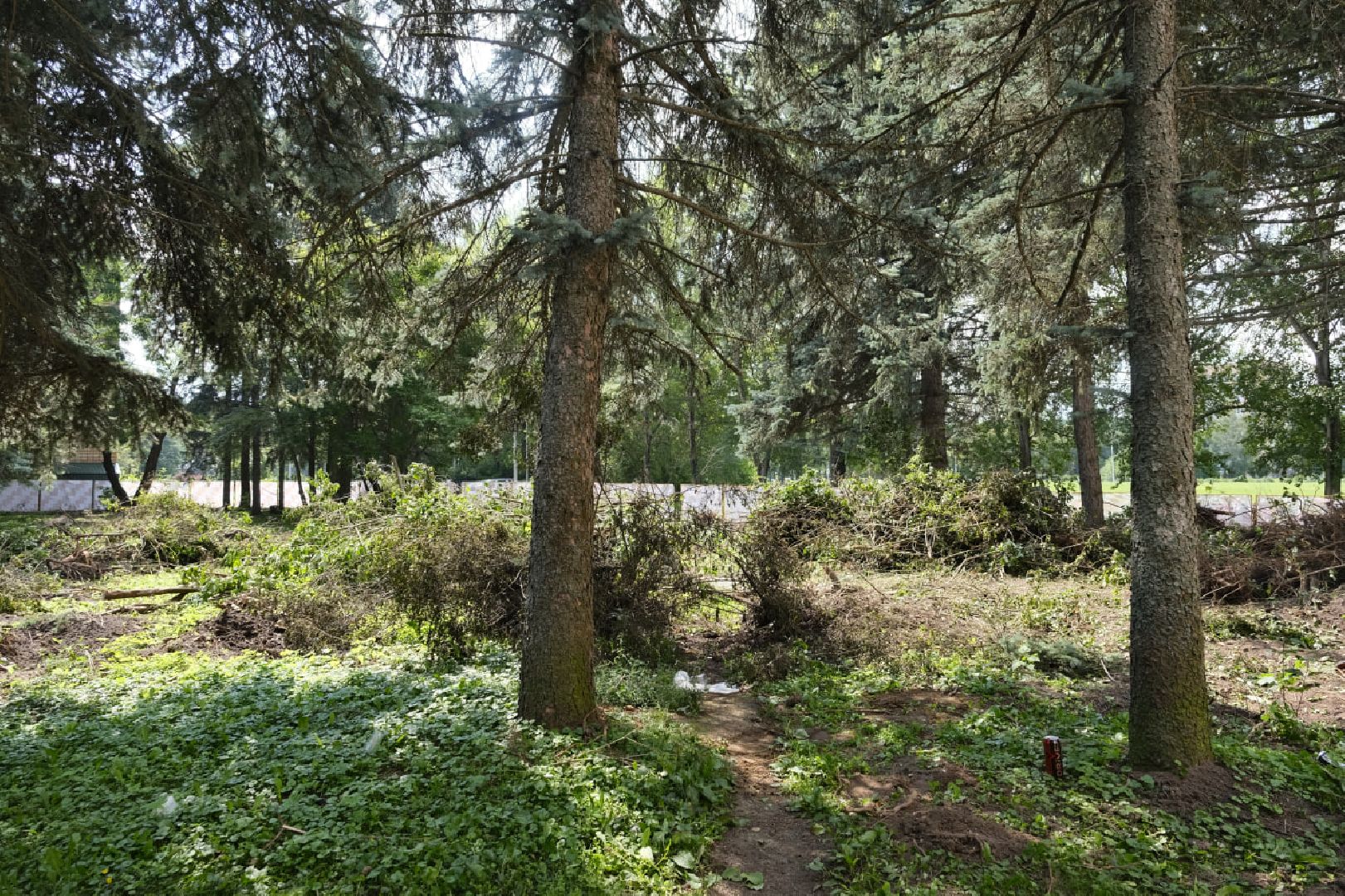 Пущино, благоустройство