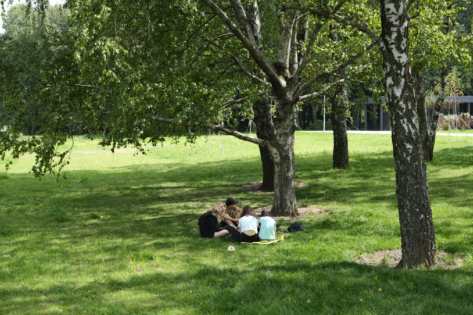 Пущино, благоустройство