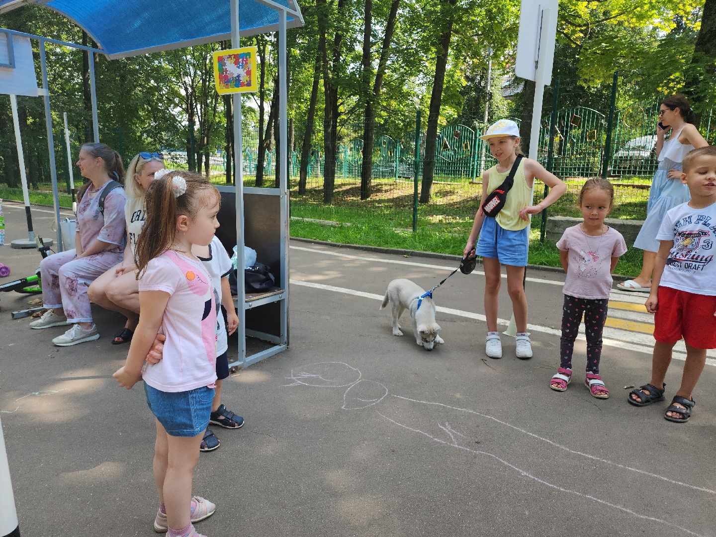 дети; видное; пдд; осторожность; дороги