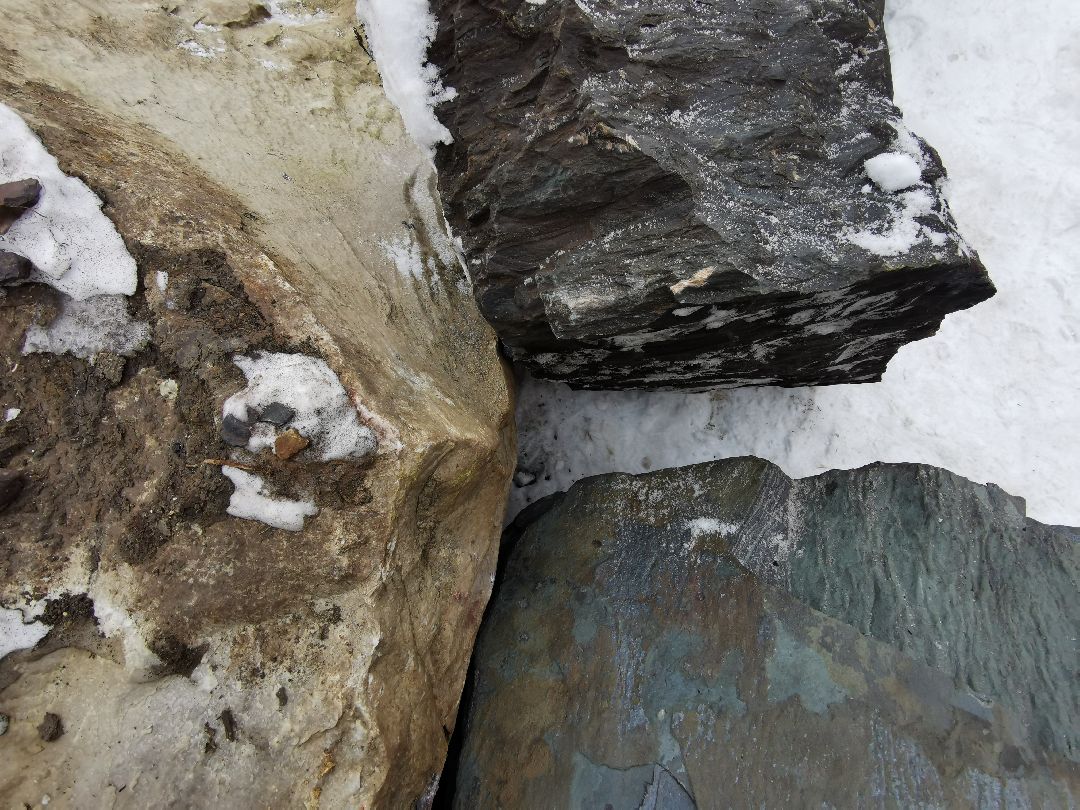 Подольск, общество