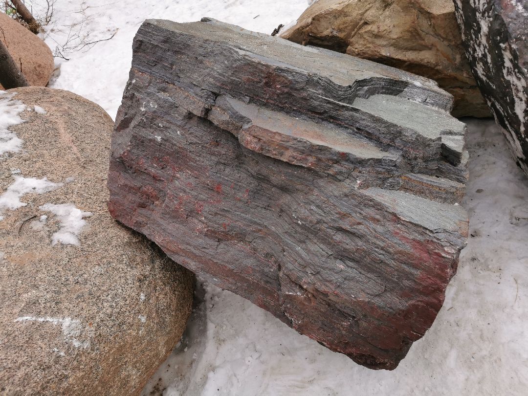 Подольск, общество