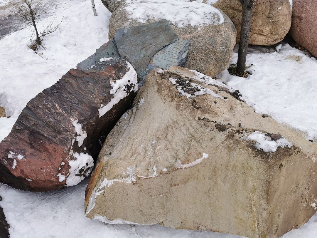 Подольск, общество