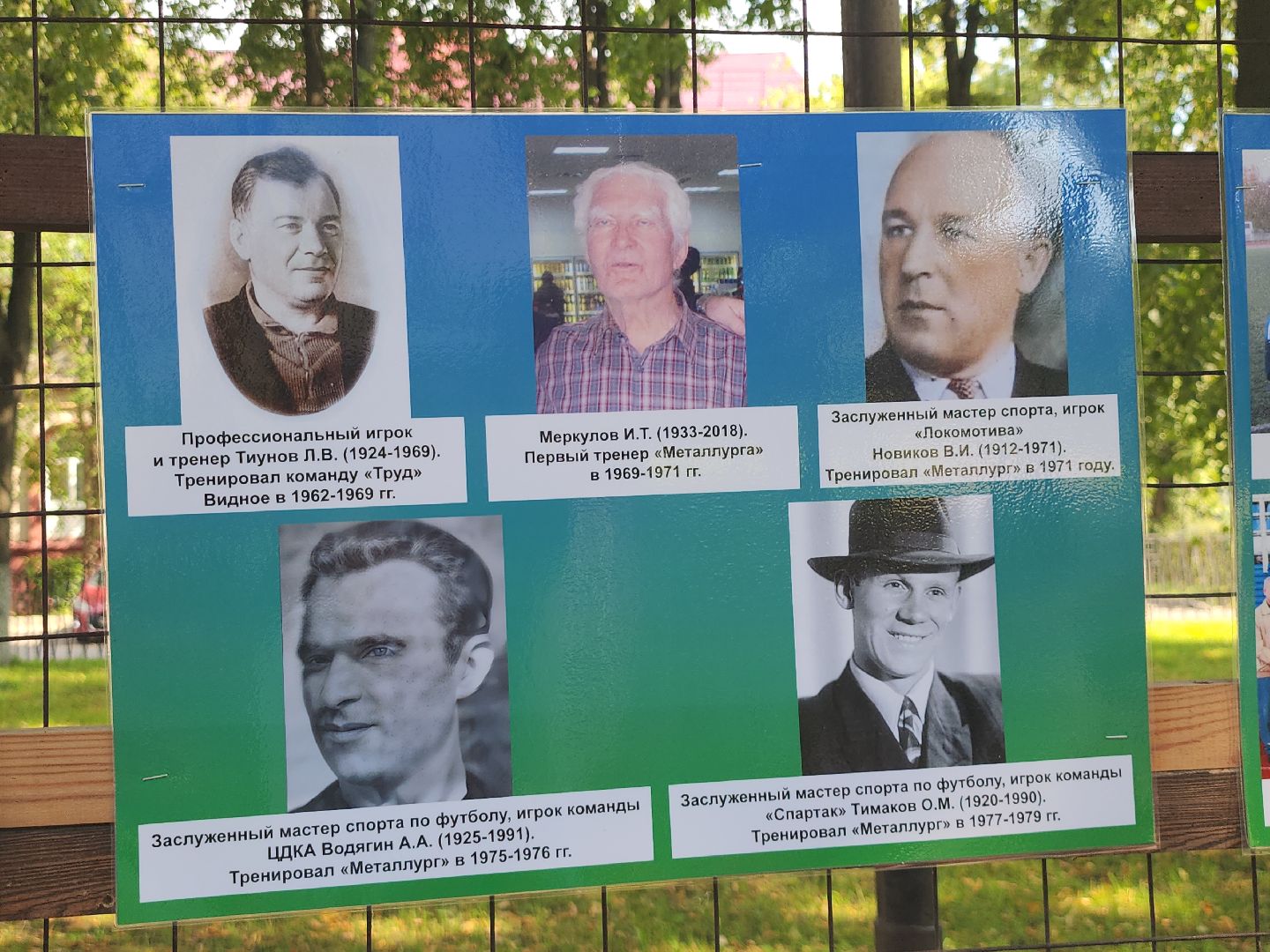 фотографии; спорт; видное; спортсмены