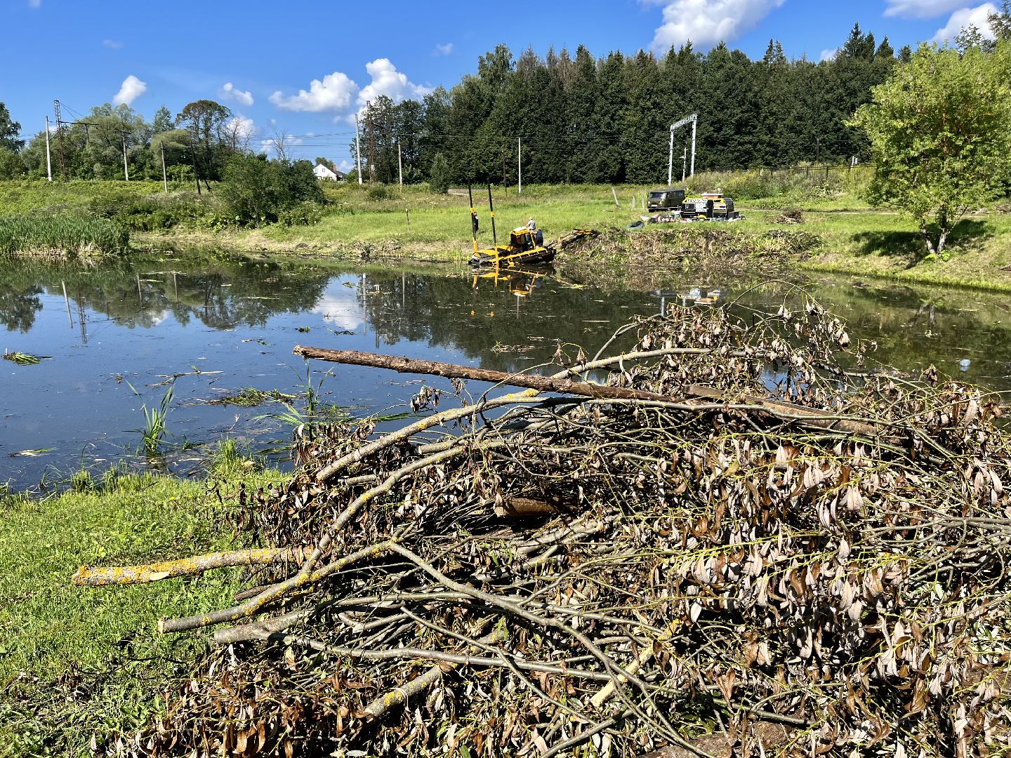 Наро-Фоминск, пруд, экология, 100 прудов и озёр, Подмосковье, Андрей Воробьёв