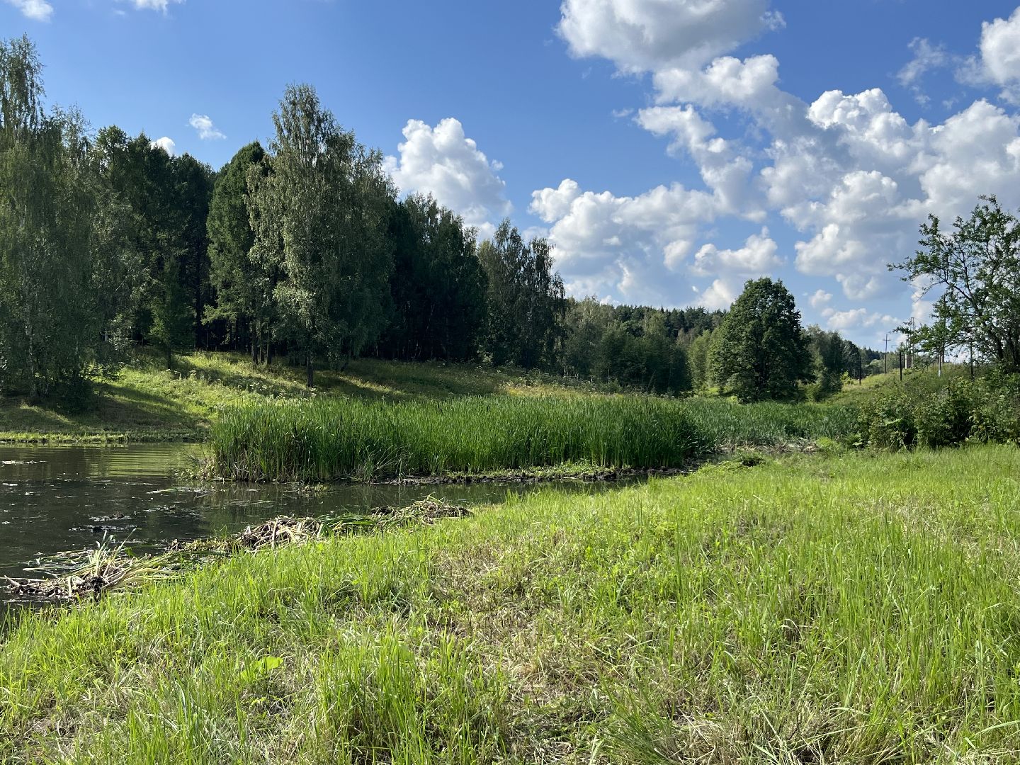 Наро-Фоминск, пруд, экология, 100 прудов и озёр, Подмосковье, Андрей Воробьёв