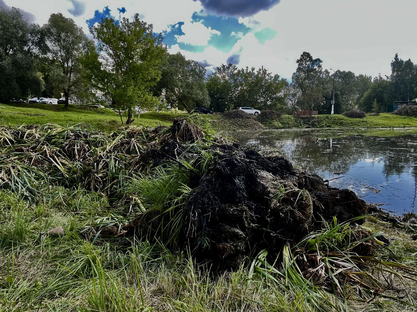 Наро-Фоминск, пруд, экология, 100 прудов и озёр, Подмосковье, Андрей Воробьёв