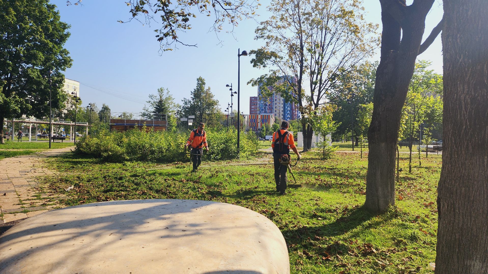 Подмосковье, Ивантеевка, благоустройство