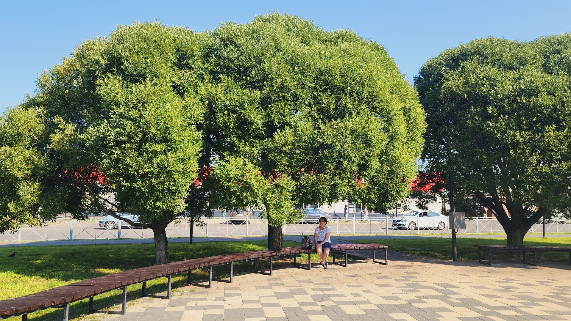 Подмосковье, Ивантеевка, благоустройство