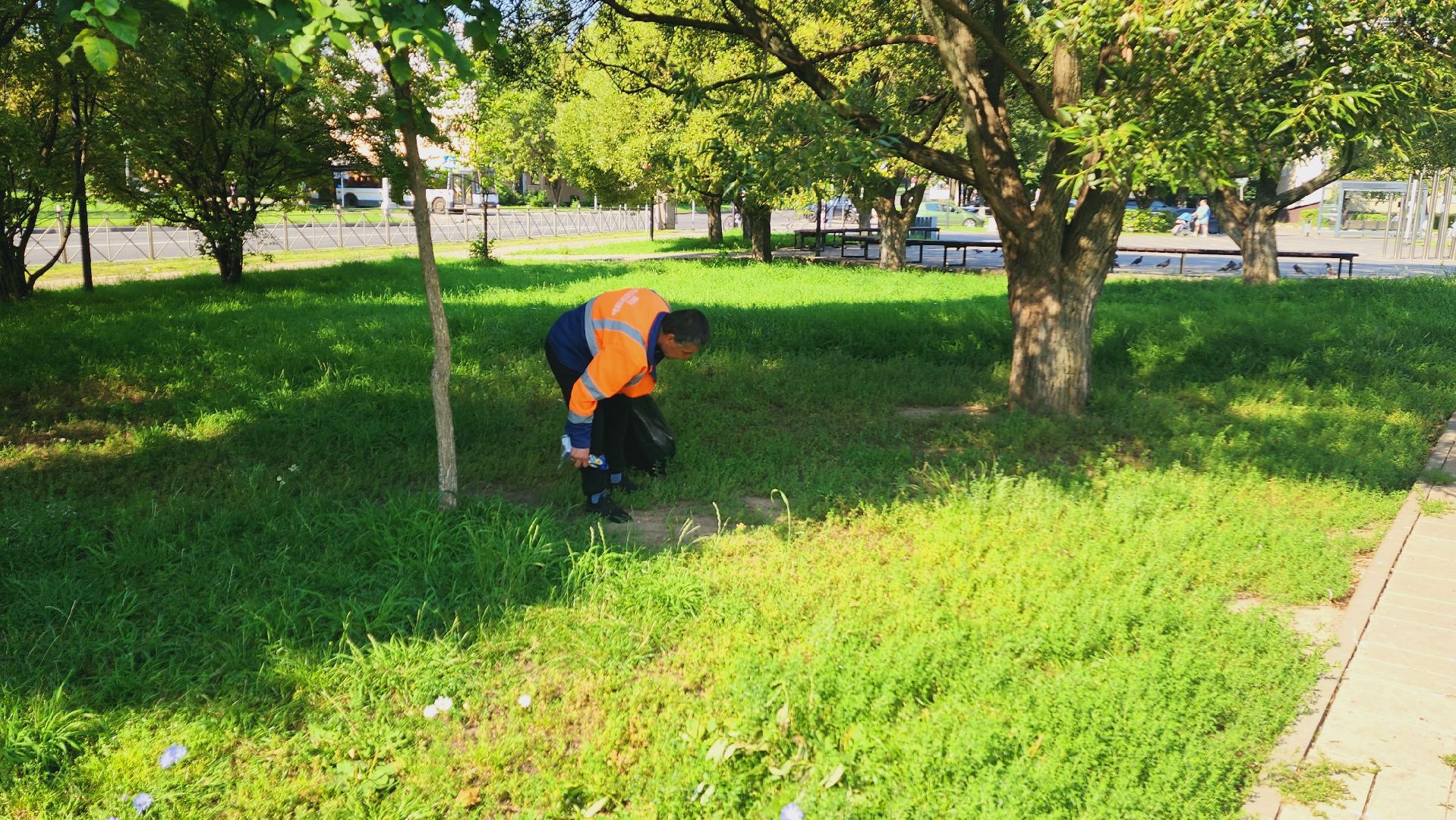 Подмосковье, Ивантеевка, благоустройство
