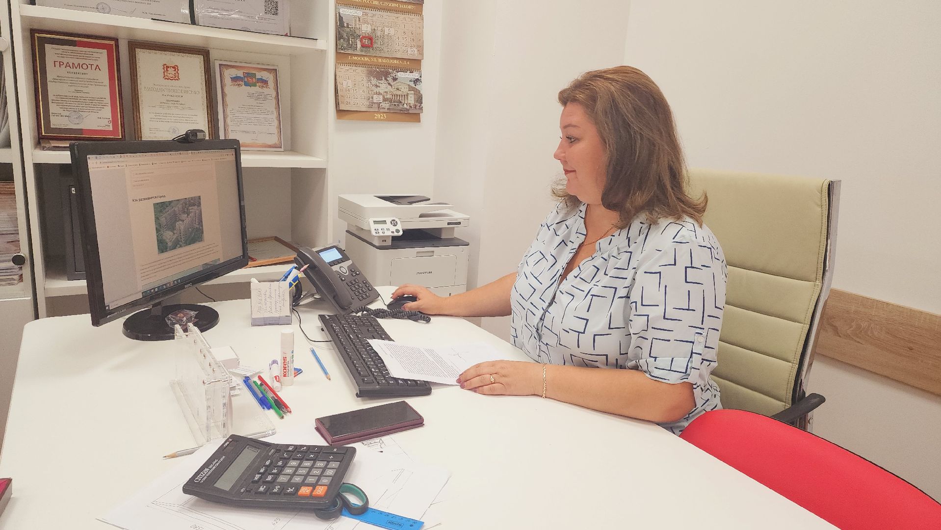 Подмосковье, Городской округ Пушкинский, МФЦ, выборы