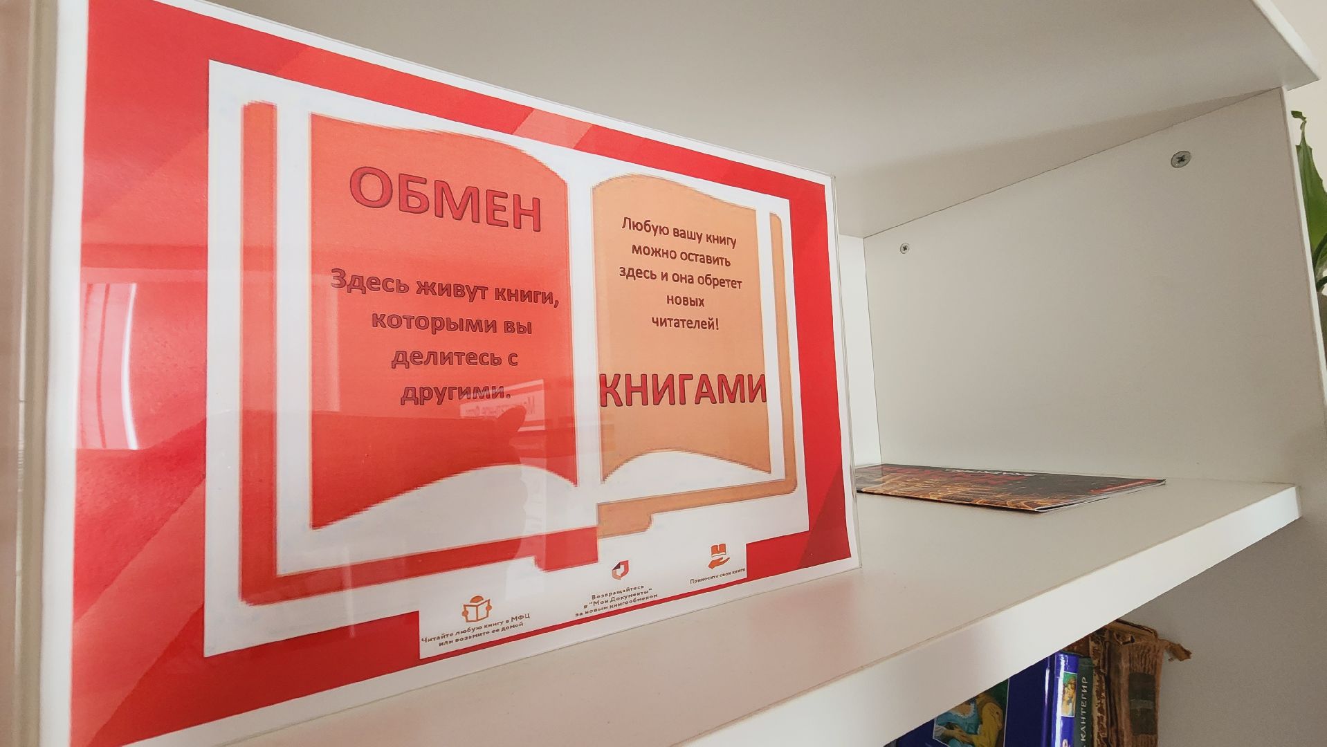 Подмосковье, Городской округ Пушкинский, МФЦ, выборы