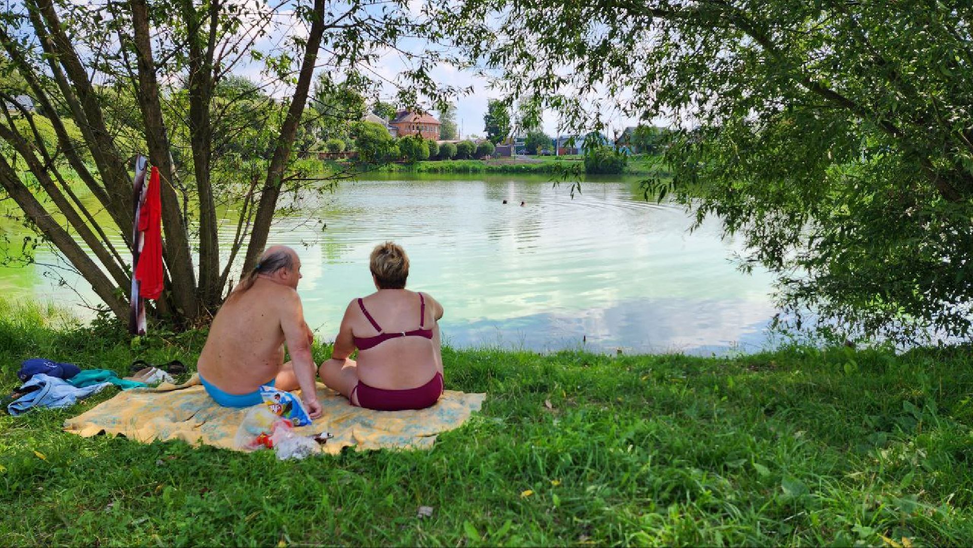 Дмитров, Подлипичский пруд, Минблаго МО