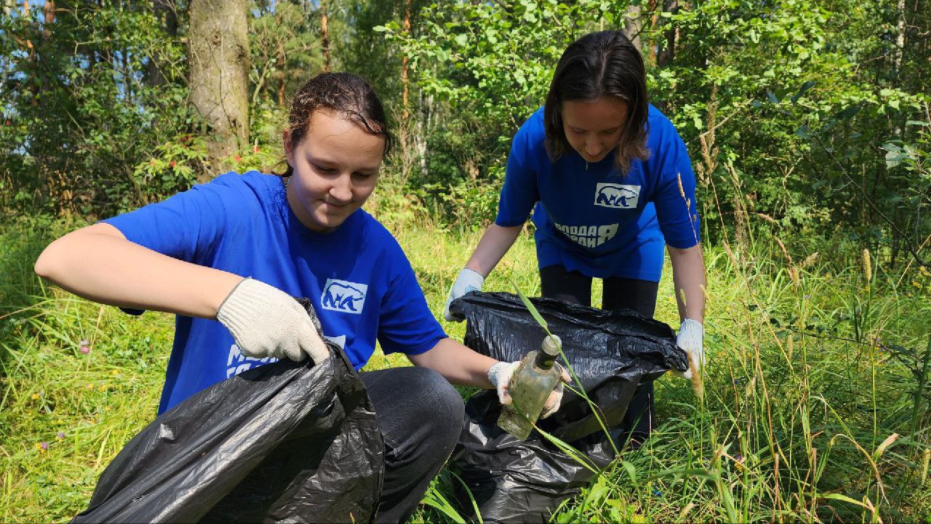 Дмитров, Акция Чистый лес, Мособлдума