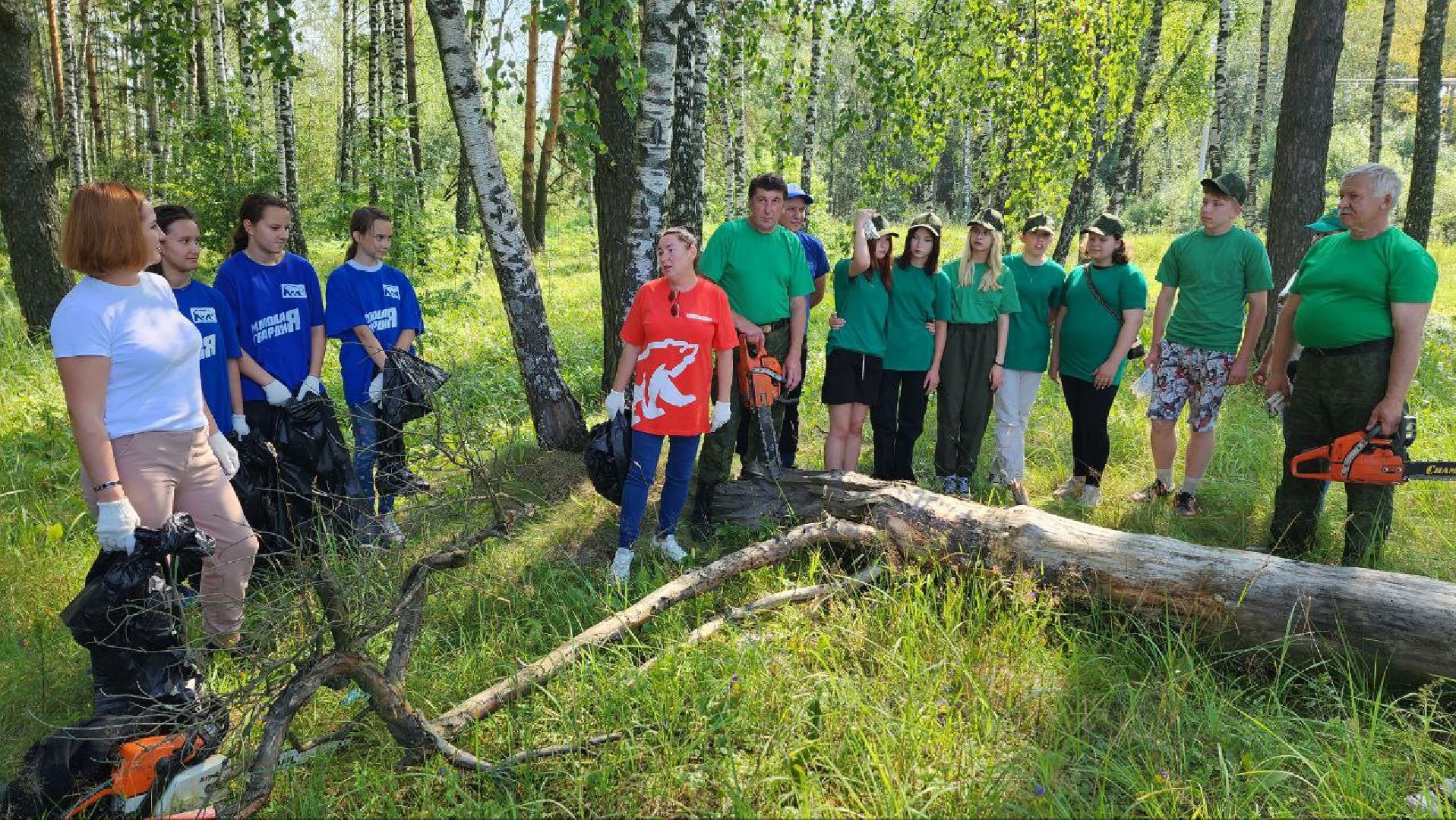 Дмитров, Акция Чистый лес, Мособлдума