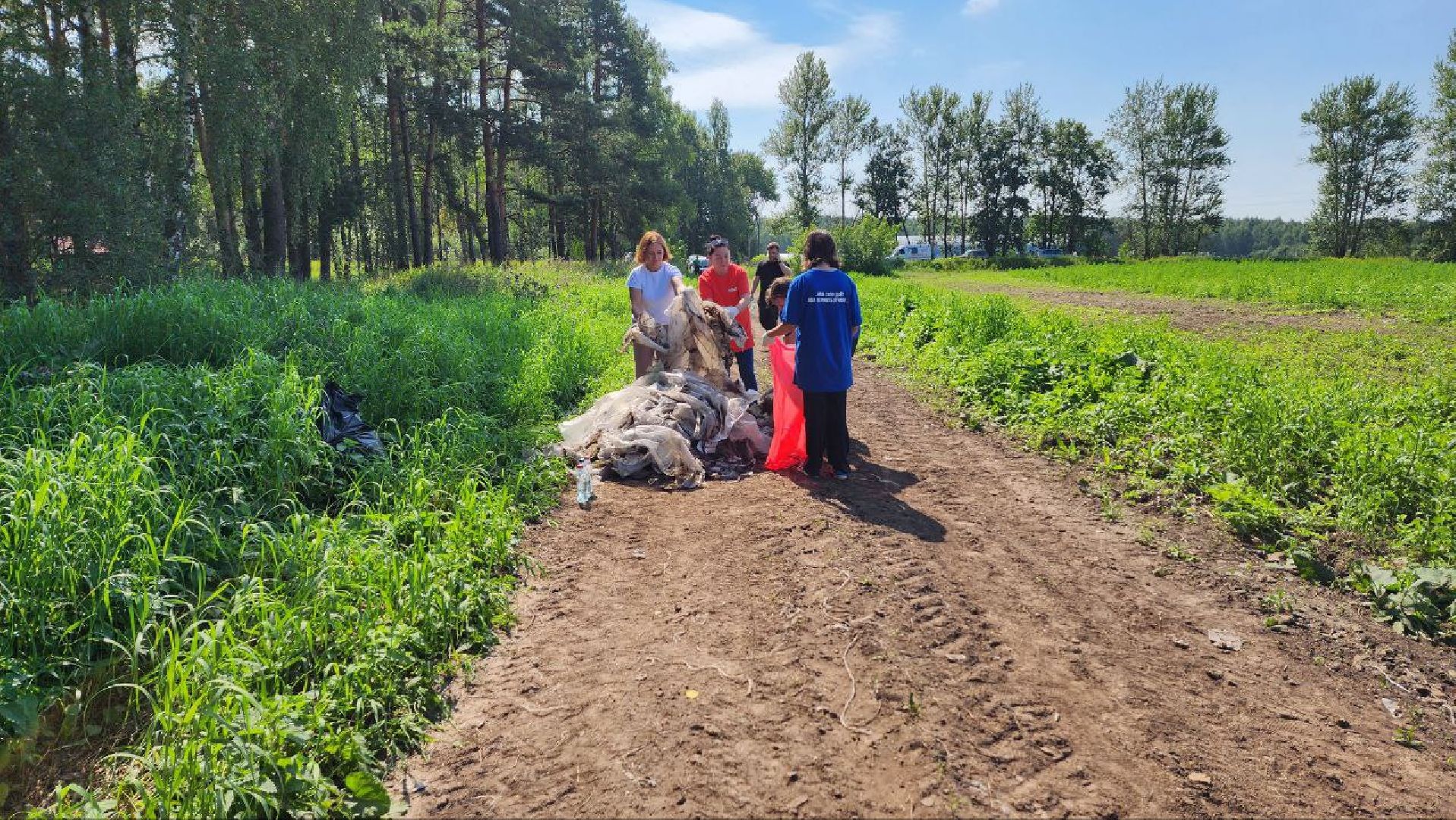 Дмитров, Акция Чистый лес, Мособлдума