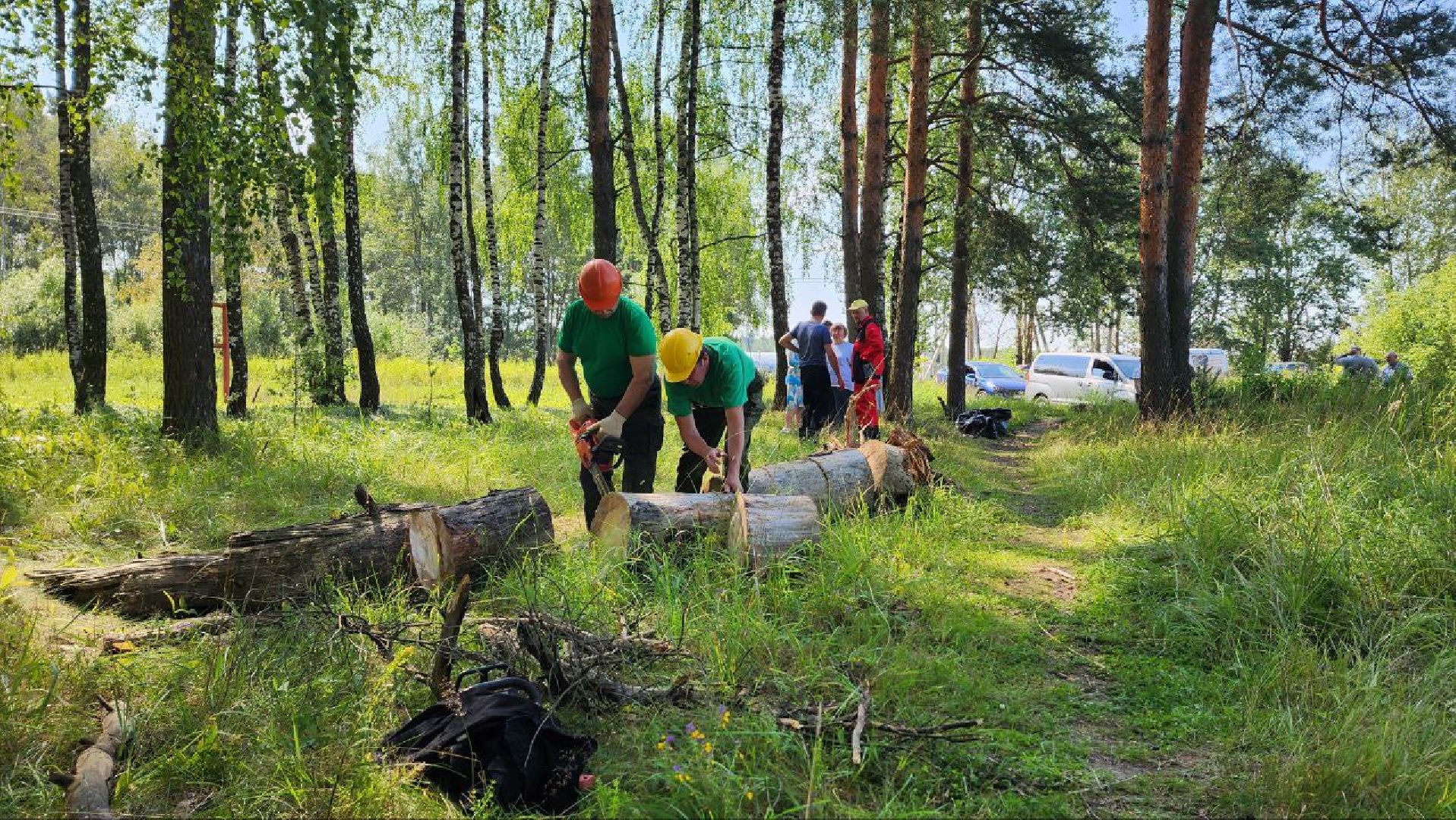 Дмитров, Акция Чистый лес, Мособлдума