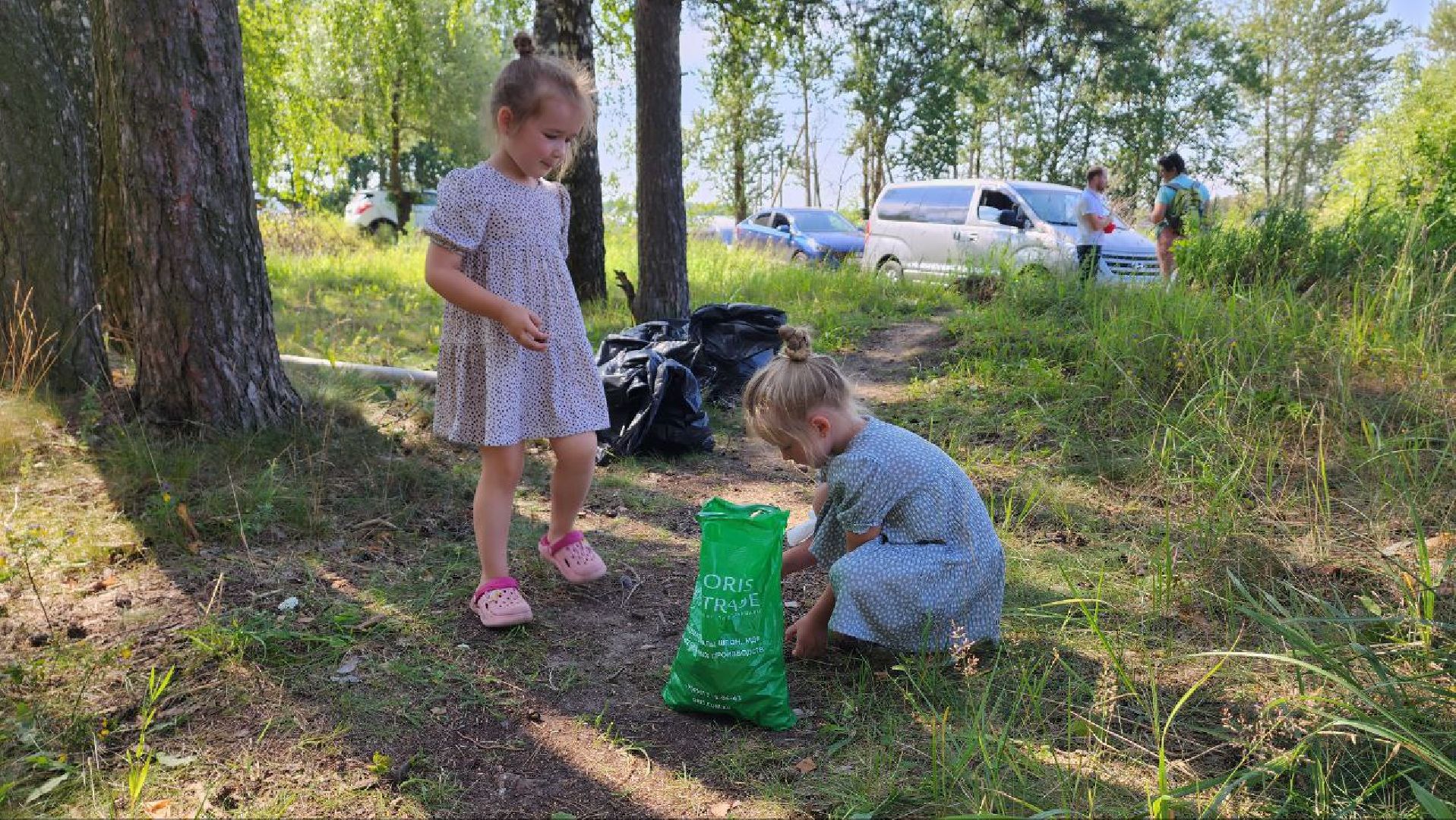 Дмитров, Акция Чистый лес, Мособлдума