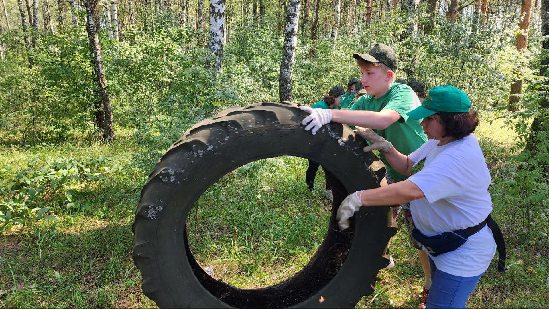 Дмитров, Акция Чистый лес, Мособлдума