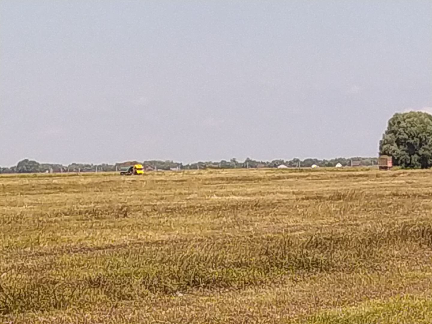 Луховицы, Сельское хозяйство
