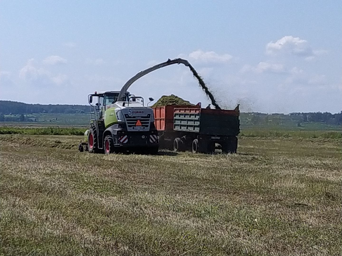Луховицы, Сельское хозяйство