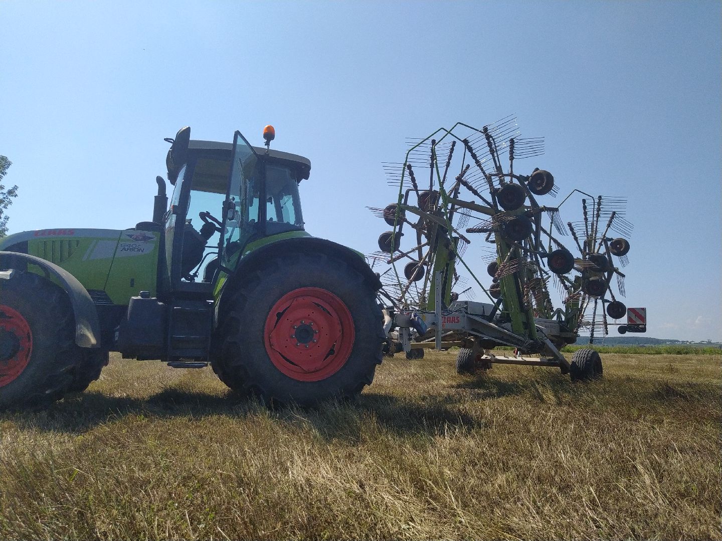 Луховицы, Сельское хозяйство