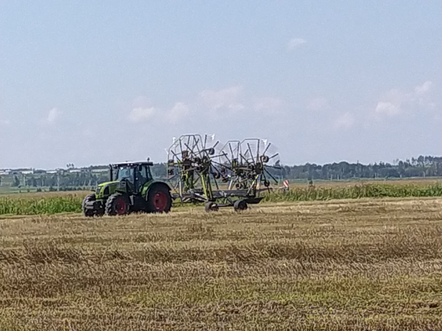Луховицы, Сельское хозяйство