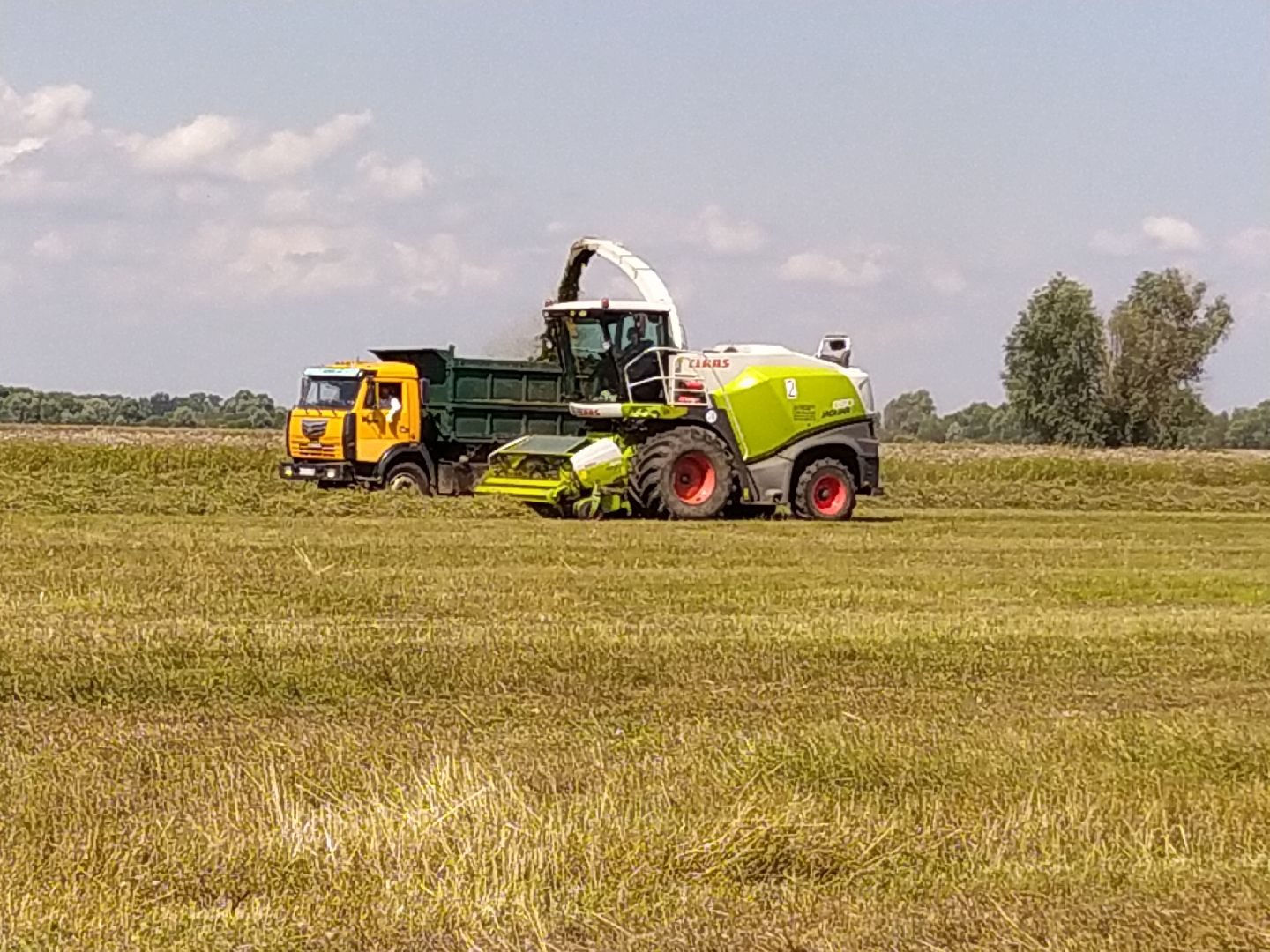 Луховицы, Сельское хозяйство