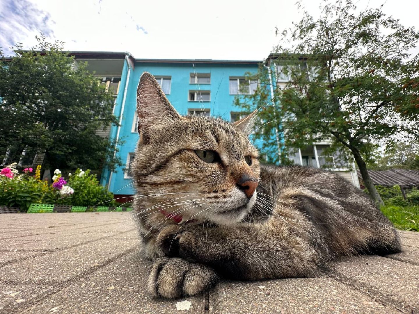Можайск, Можайский городской округ, Подмосковье, капитальный ремонт, многоквартирные дома, жители, ремонт, работы, Фонд капитального ремонта, губернатор