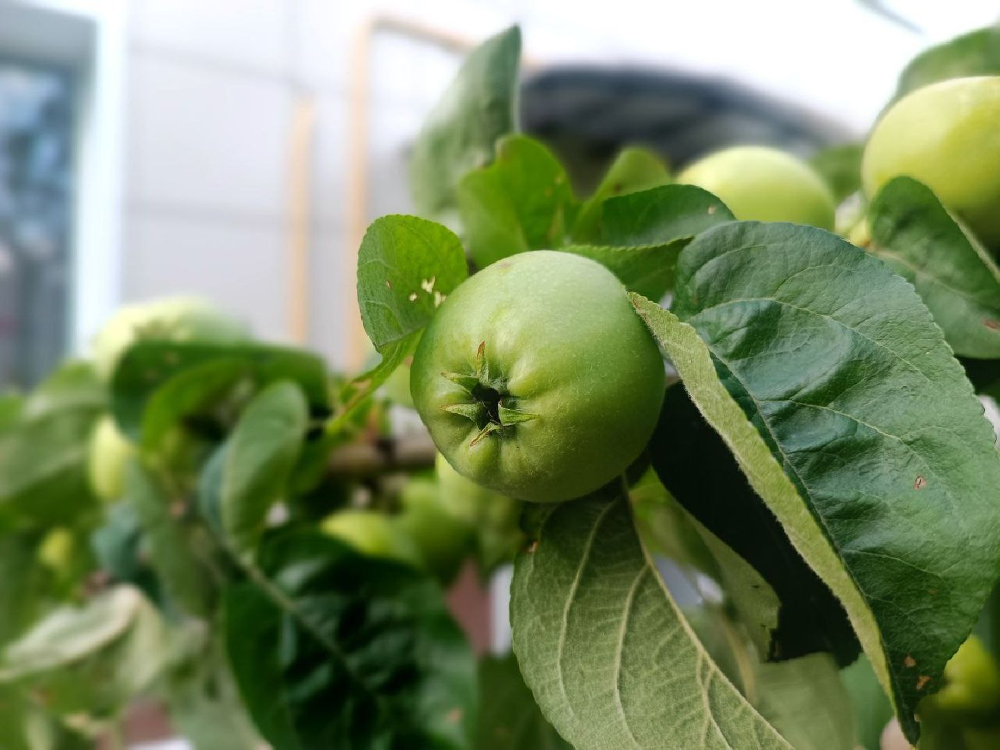 Можайск, Можайский городской округ, Подмосковье, капитальный ремонт, многоквартирные дома, жители, ремонт, работы, Фонд капитального ремонта, губернатор