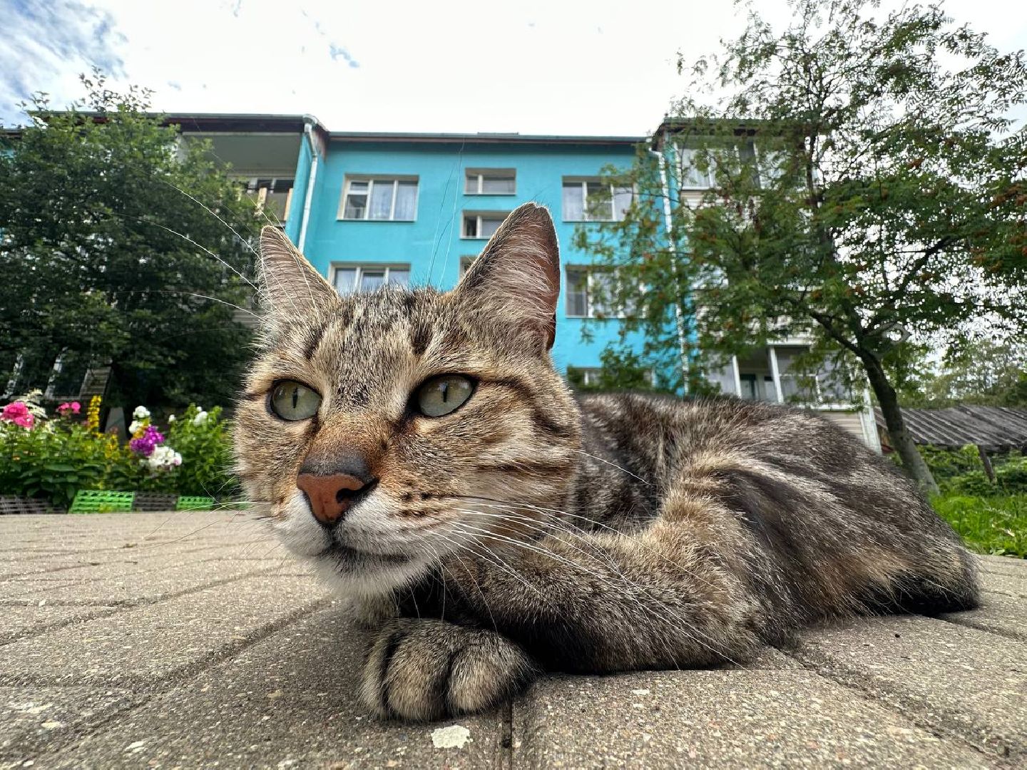 Можайск, Можайский городской округ, Подмосковье, капитальный ремонт, многоквартирные дома, жители, ремонт, работы, Фонд капитального ремонта, губернатор