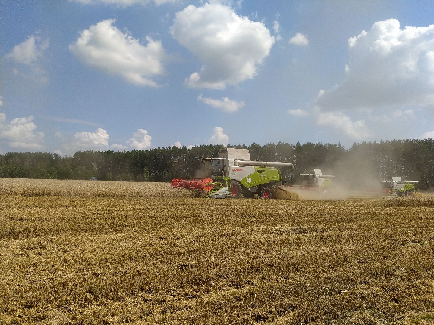 Луховицы, Сельское хозяйство