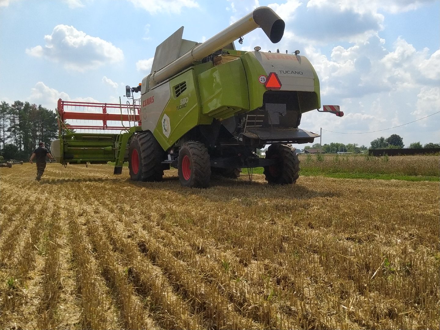 Луховицы, Сельское хозяйство