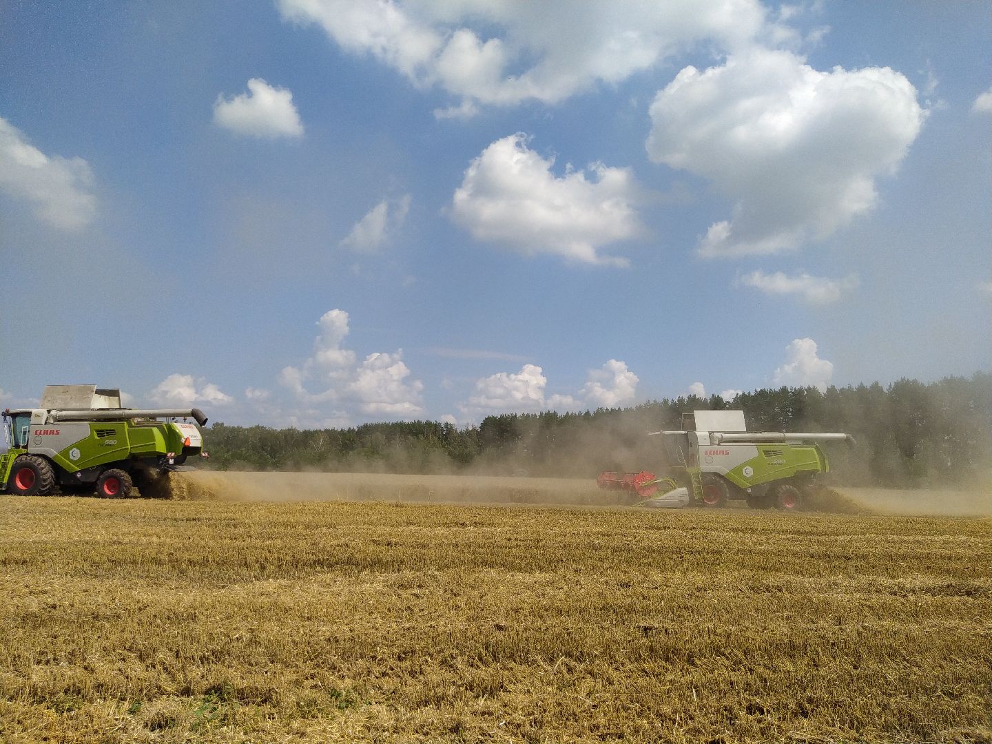 Луховицы, Сельское хозяйство